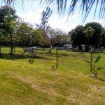 IMG-20221213-WA0069