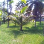 IMG-20221213-WA0070