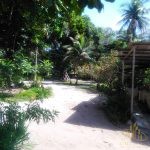 IMG-20221213-WA0072