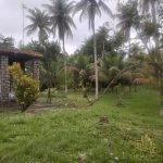 IMG-20221213-WA0080