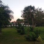 IMG-20221213-WA0083
