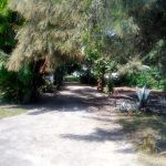 IMG-20221213-WA0084