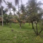 IMG-20221213-WA0086