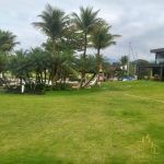 IMG-20221213-WA0126