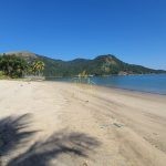 IMG-20230811-WA0029