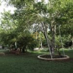 IMG-20240325-WA0092